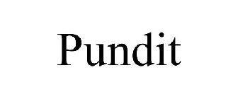 PUNDIT