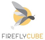 FIREFLYCUBE