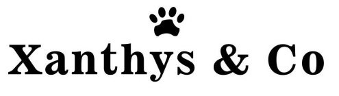 XANTHYS & CO