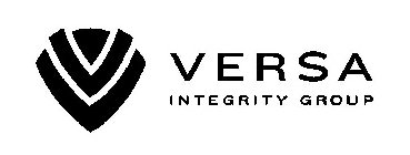 VERSA INTEGRITY GROUP