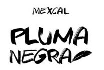 PLUMA NEGRA