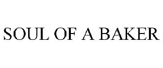 SOUL OF A BAKER