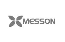 MESSON