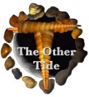 THE OTHER TIDE