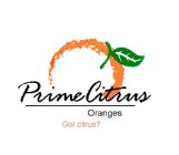 PRIME CITRUS GOT ORANGES GOT CITRUS?