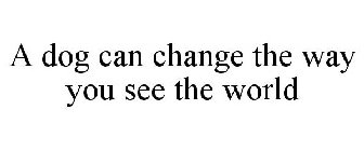 A DOG CAN CHANGE THE WAY YOU SEE THE WORLD