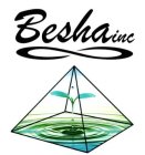 BESHA INC