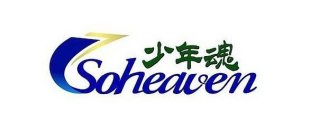 SOHEAVEN SHAO NIAN HUN (IN ASIAN CHARACTERS)