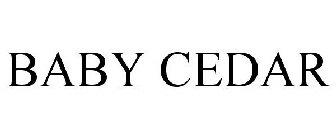 BABY CEDAR