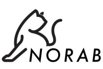 NORAB