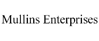 MULLINS ENTERPRISES