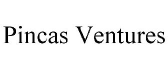 PINCAS VENTURES