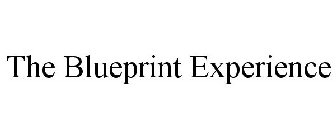 THE BLUEPRINT EXPERIENCE