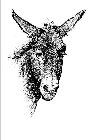 Image Trademark