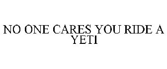 NO ONE CARES YOU RIDE A YETI