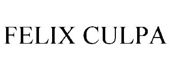FELIX CULPA