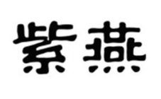 Image Trademark