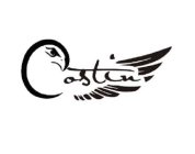 CASTIN