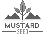 MUSTARD SEED