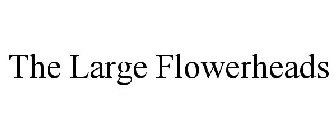 THE LARGE FLOWERHEADS