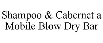 SHAMPOO & CABERNET A MOBILE BLOW DRY BAR