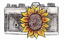 SANTANA PHOTOGRAPHY