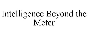 INTELLIGENCE BEYOND THE METER