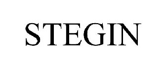 STEGIN