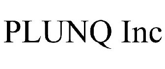 PLUNQ INC