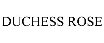 DUCHESS ROSE