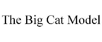 THE BIG CAT MODEL