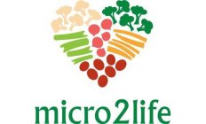 MICRO2LIFE