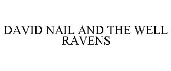 DAVID NAIL AND THE WELL RAVENS