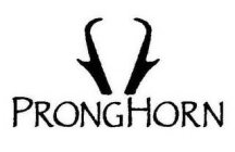 PRONGHORN