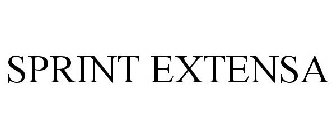 SPRINT EXTENSA