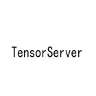 TENSORSERVER