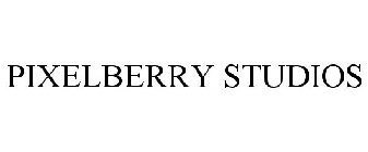 PIXELBERRY STUDIOS