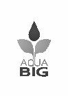 AQUA BIG