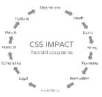 CSS IMPACT FINANCIAL ECOSYSTEMS ORIGINATIONS CREDIT LOANS BILLING PAYMENTS RECEIVABLES COLLECTIONS LEGAL COMPLIANCE ANALYTICS PORTALS PORTFOLIO