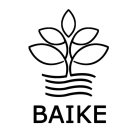 BAIKE