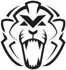 Image Trademark
