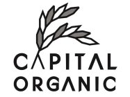 CAPITAL ORGANIC