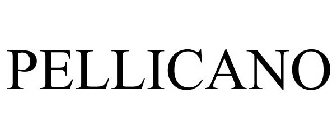 PELLICANO