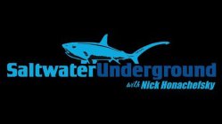 SALTWATER UNDERGROUND WITH NICK HONACHEFSKY