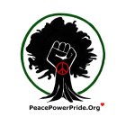 PEACEPOWERPRIDE.ORG