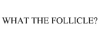 WHAT THE FOLLICLE?