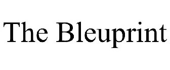 THE BLEUPRINT