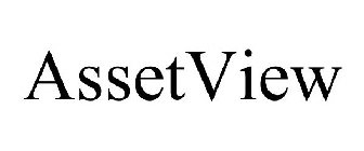 ASSETVIEW