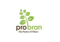 PRO BRAN THE POWER OF FIBERS