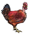 Image Trademark